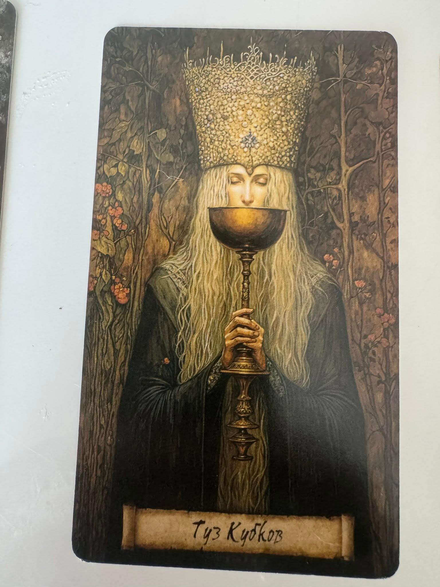 Shadow Fates Tarot (3)